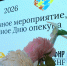 Тюменским опекунам вручили награды за воспитание детей - ГТРК Регион-Тюмень