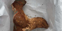В Румынии нашли саркофаг с останками ребёнка и игрушками возрастом 1800 лет - ТК Санкт-Петербург