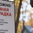 В России выявили более 1,5 тысячи случаев мышиной лихорадки - News.Astv.Ru