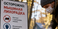 В России выявили более 1,5 тысячи случаев мышиной лихорадки - News.Astv.Ru
