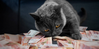 Зарплаты на Ставрополье за месяц похудели почти на 6,5 тысячи рублей - Bloknot-Stavropol.Ru