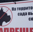 В Петровске осудили пенсионерку за нападение собаки на 7-летнего ребенка - Газета Репортер