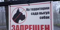 В Петровске осудили пенсионерку за нападение собаки на 7-летнего ребенка - Газета Репортер