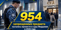 954 запрещенных предмета пытались пронести в суды Мордовии в 2026 году - УФССП