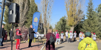Представители клуба «Здоровье» Пачелмского района приняли участие в областном фестивале скандинавской ходьбы - Пачелмский район