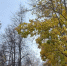 Картинка - Regions.Ru