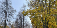 Картинка - Regions.Ru