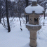 В Магадане -9, -12°C, снегопад закончится - Газета Магаданская правда