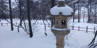 В Магадане -9, -12°C, снегопад закончится - Газета Магаданская правда