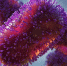 Фото: Dotted Yeti/Shutterstock/Fotodom - Ямал-Медиа