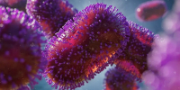 Фото: Dotted Yeti/Shutterstock/Fotodom - Ямал-Медиа