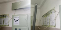 УК ответила на жалобы из-за опасного провода из квартиры с 40 кошками в Новосибирске - Сиб.фм