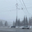 До +7 градусов потеплеет в Новосибирской области 31 октября - Gorsite.Ru