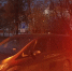 В Южно-Сахалинске ищут свидетелей наезда на припаркованную Honda Step - News.Astv.Ru