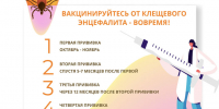Клещи: начинаем вакцинацию - ИА Хакасия