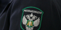 Screenshot_20261031_074221.jpeg - Ozersk74.Ru