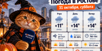 Дождливый Хэллоуин: в Ростове 31 октября ожидается до +14 градусов - Bloknot-Rostov.Ru