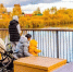 Картинка - Regions.Ru