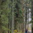 Картинка - Regions.Ru