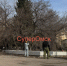 В Омске пилят абрикос у «Маяковского» - СуперОмск
