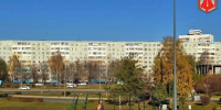 В Челнах приступили к установке конструкции для 30-метровой новогодней ели - Комсомольская правда Казань