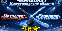 🏒 Хоккейный матч: «Металлург» против «Сеченова» - Выкса.РФ