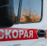 Фото: Алина Дьякова/«Ямал-Медиа» - Ямал-Медиа