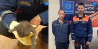 В Обнинске спасатели выехали на помощь котенку - Комсомольская Правда