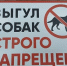 Правила выгула собак. - ТОС Омска
