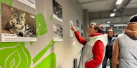 В Казани открыли фотовыставку в защиту алтайских ирбисов - Реальное время