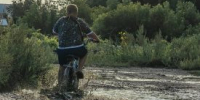 Курганцам объяснили опасность лептоспироза - Новый мир