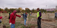 день единых действий-субботник-благоустройство-высадка-озеленение-лк (8) - Волжская правда