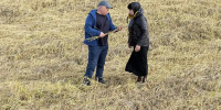 Шарип Шарипов ознакомился с ходом уборки риса и сева озимых в Кизлярском районе Дагестана - Министерство сельского хозяйства