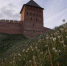 Новгородский Роскадастр вносит данные о границах территорий исторических памятников в реестр недвижимости - Новгородское областное телевидение