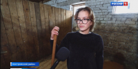 Лошадки.mp4_snapshot_00.53.538.jpg - ГТРК Кострома