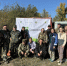Под Волгодонском высадили 2,5 тысячи саженцев сосны - Bloknot-Volgodonsk.Ru