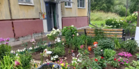 Дом на ул. Привокзальной, 6: розы есть, асфальта нет - Калужский перекрёсток