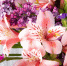 Хотел подарить возлюбленной букет: петербуржец оказался в СИЗО после кражи 30 альстромерий - Online47.Ru