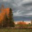 Резкое похолодание - MyOmutninsk.Ru